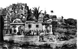 ALGER 048 BABELOUED